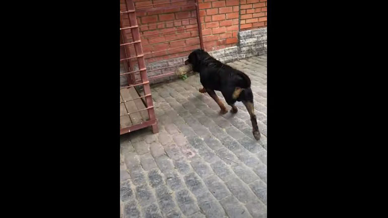 «Παρ’ το αλλιώς, θα βρεις»